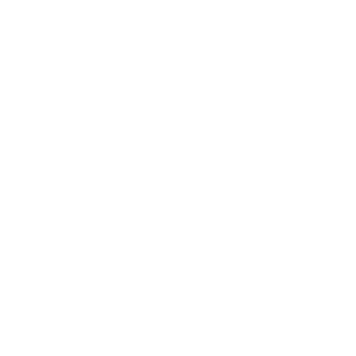 Peugeot Logo